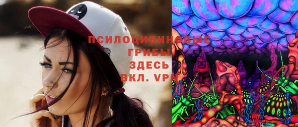 бошки Богородицк